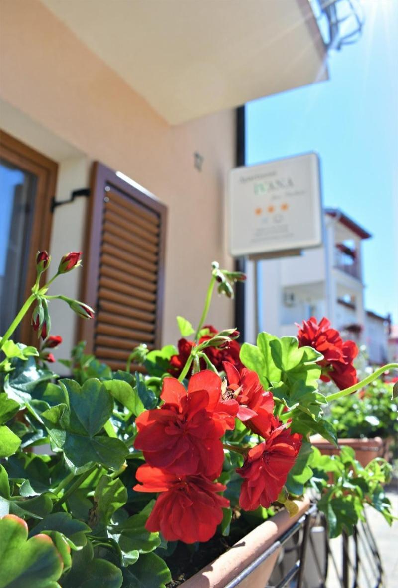 Apartments & Rooms Ivana Rovinj Ruang foto